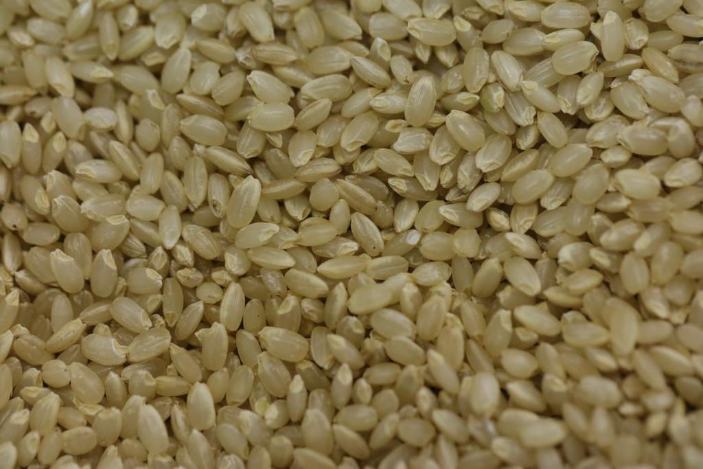 稲敷の特産品『ミルキークイーンの玄米 2015』