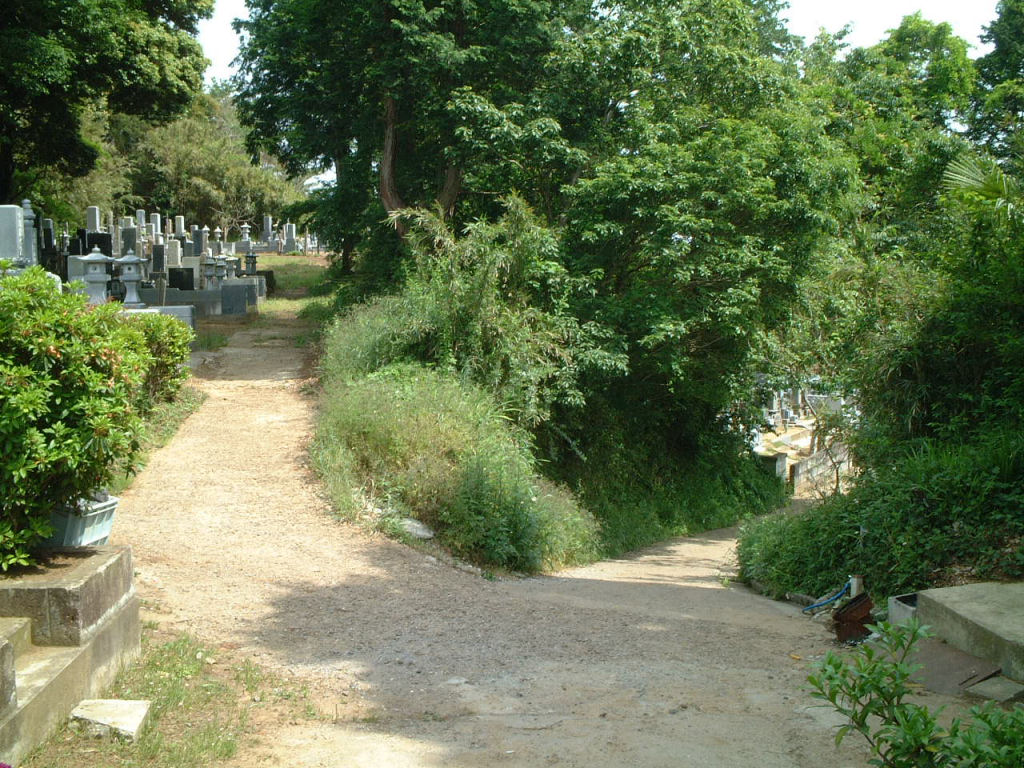 東條太田城跡西側の共同墓地