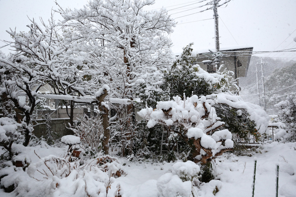 2週連続の横浜の大雪　2014