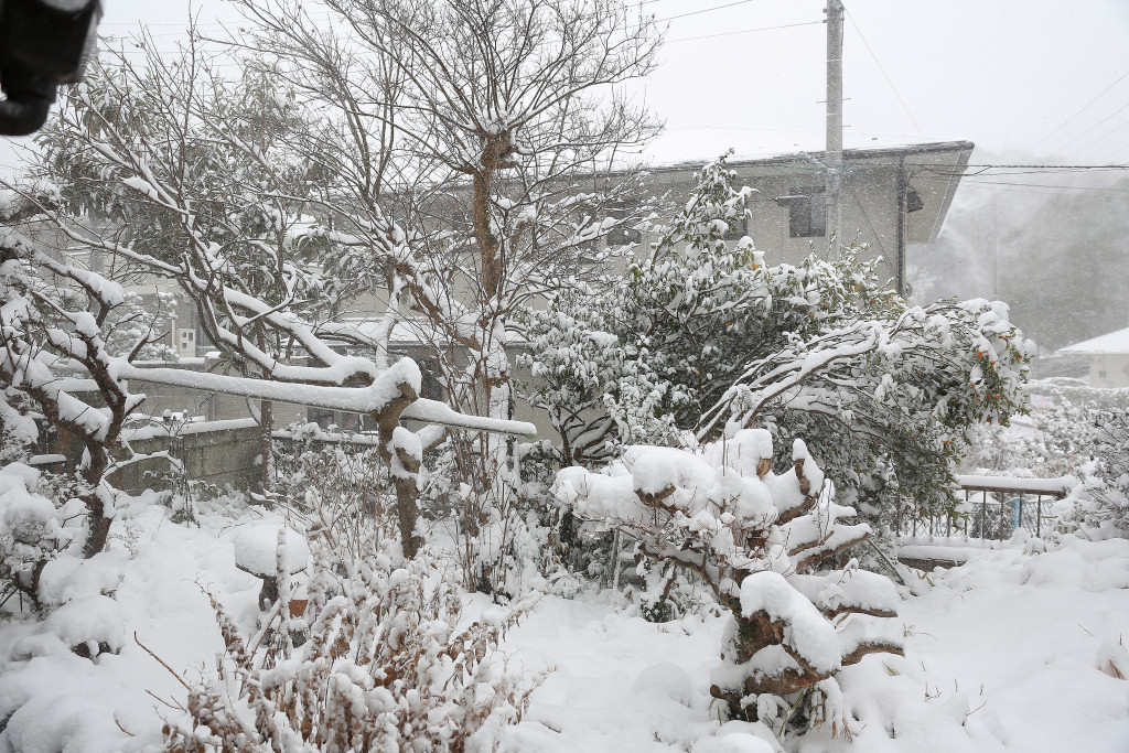 横浜の大雪　2014