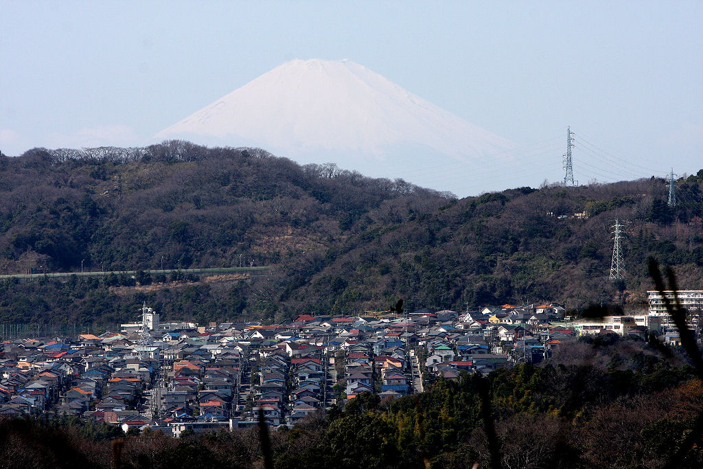 称名寺市民の森 八角堂広場から望む富士山